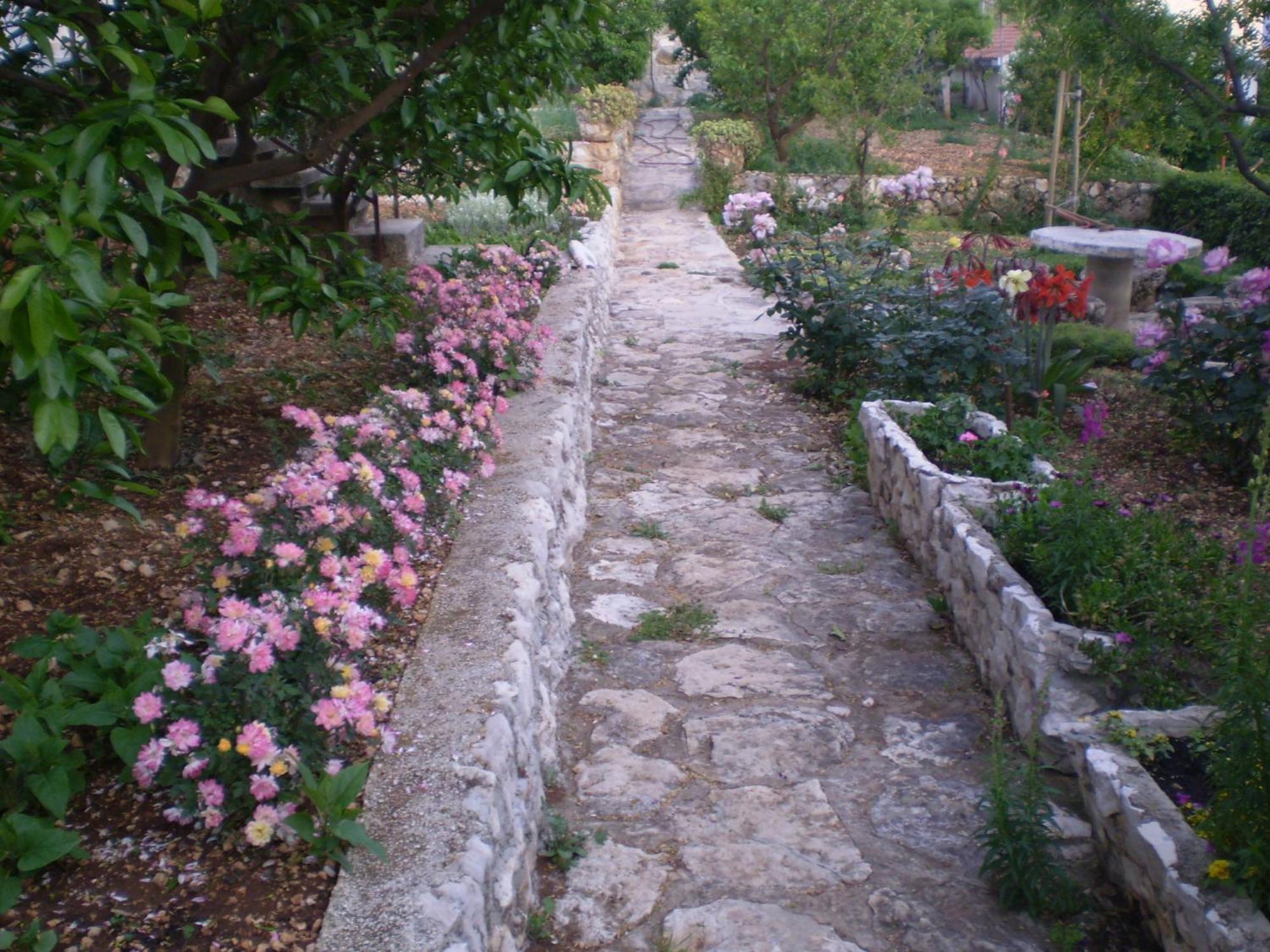 Apartmani Villa Marija Omiš Exterior foto